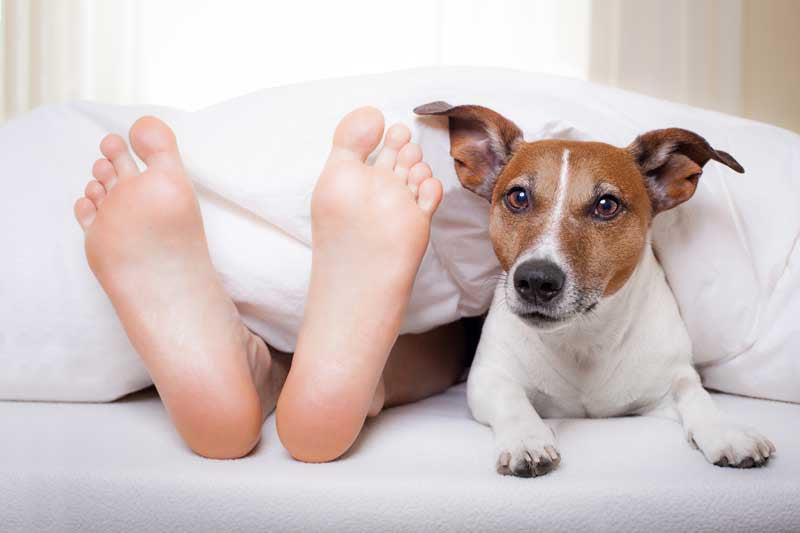 Buy Mattress Online-image